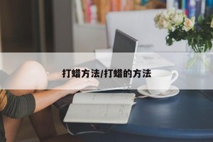 打蜡方法/打蜡的方法
