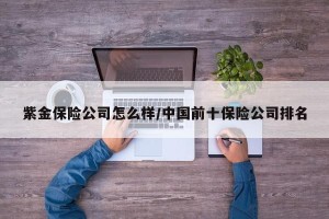 紫金保险公司怎么样/中国前十保险公司排名